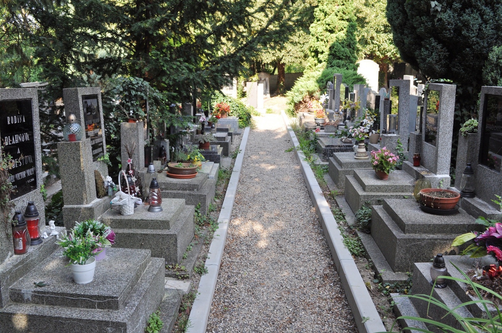 Hřbitov v Litoměřicích
