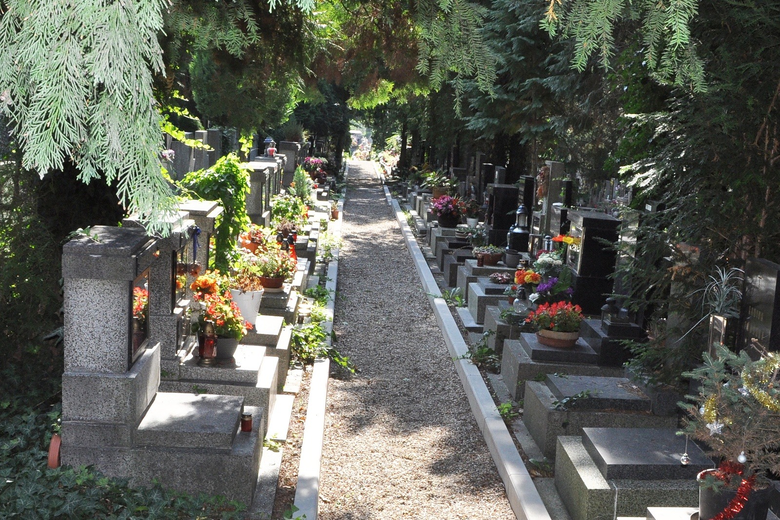 hřbitov