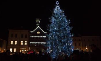Město hledá vánoční strom pro náměstí