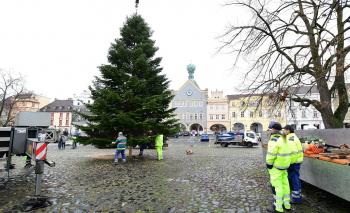 Vánoční strom už zdobí Mírové náměstí  
