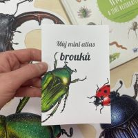 Brouci - prázdninový kvíz pro děti