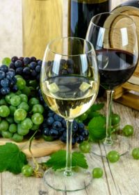 Povídání o víně – KRÁL VÍN